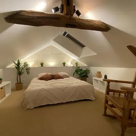 Duplex Cinema - Centre Historique شقة