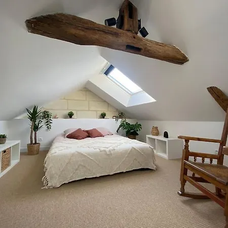 Duplex Cinema - Centre Historique * Tours