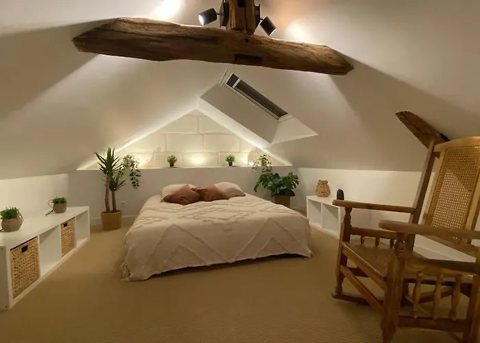 Duplex Cinema - Centre Historique Διαμέρισμα