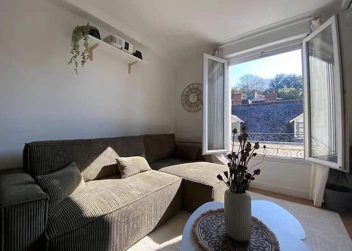 Duplex Cinema - Centre Historique Apartament Tours