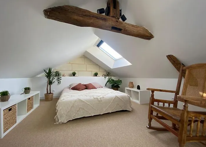 Duplex Cinema - Centre Historique * Tours