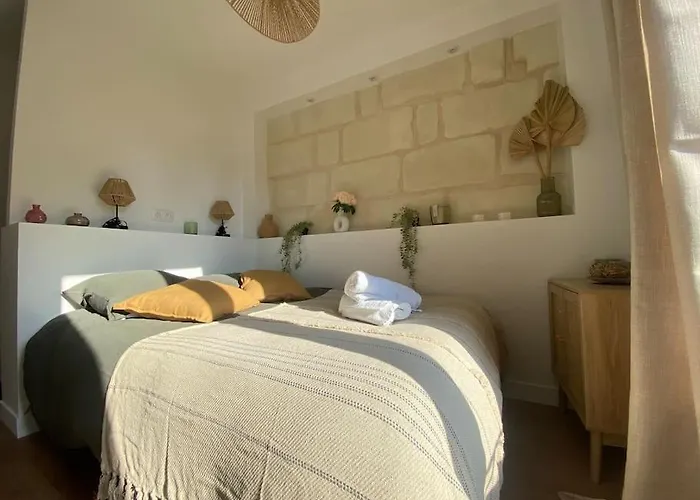 Duplex Cinema - Centre Historique Apartament Tours